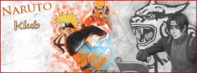 Naruto Fate (only One)